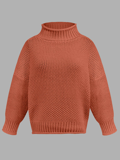 Turtleneck Long Sleeve Sweater